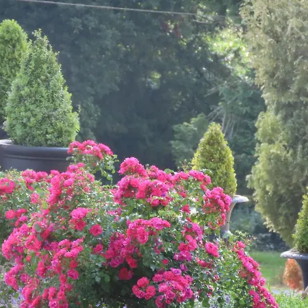 Casa rural Noan Cashel (Tipperary)