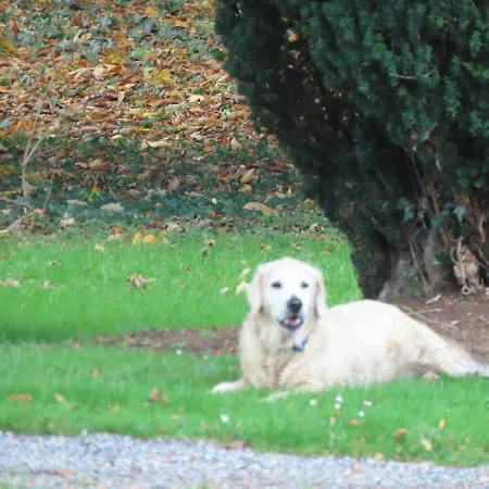 Noan 컨트리하우스 캐셜