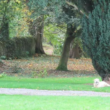 Noan Летний дом *