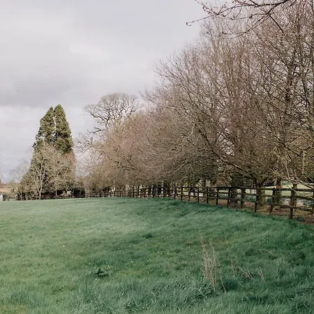 Noan * Cashel (Tipperary)
