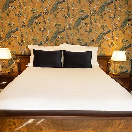 Noan Gospodarstwo wiejskie Cashel (Tipperary)