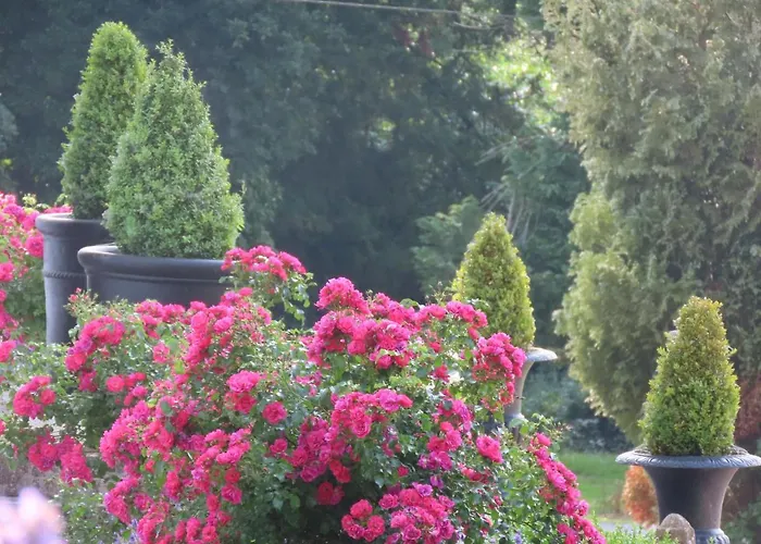 Gospodarstwo wiejskie Noan Cashel (Tipperary)