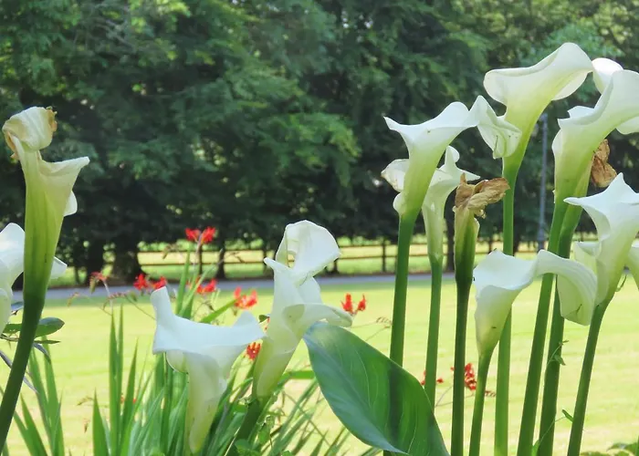 Gospodarstwo wiejskie Noan