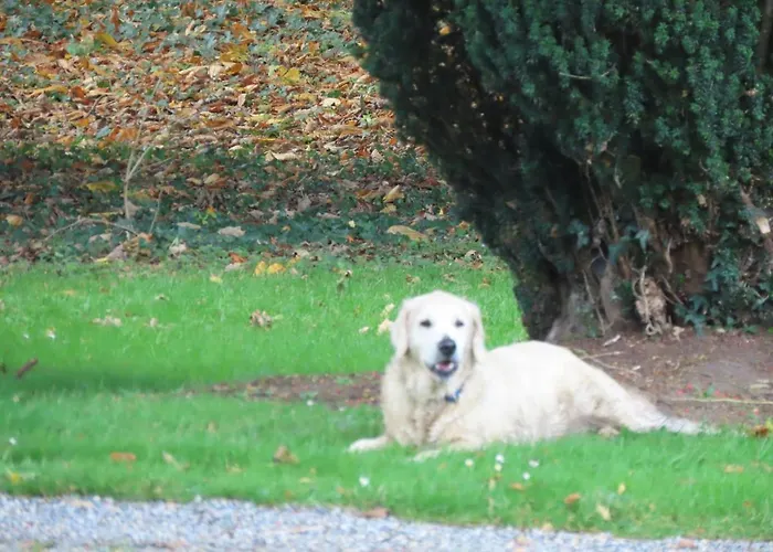 Noan 乡村民宿 卡舍尔