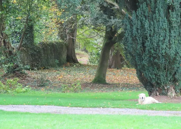 Noan Gospodarstwo wiejskie *