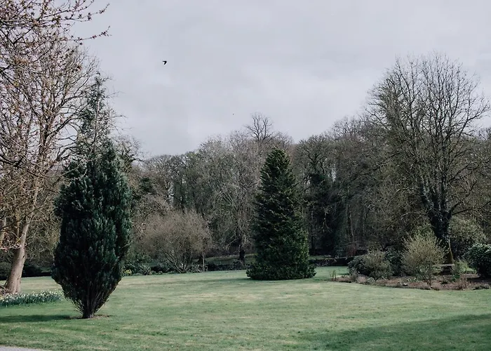 Noan Cashel (Tipperary)