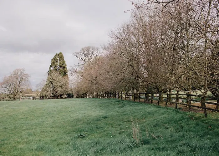 Noan * Cashel (Tipperary)