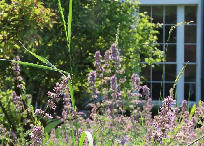 Noan Cashel (Tipperary)